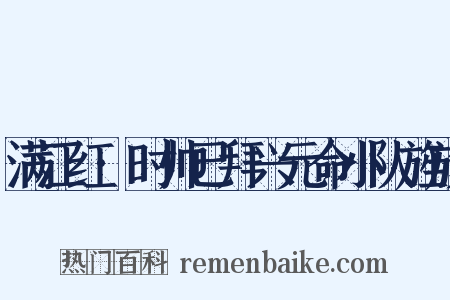 满江红·时帅已拜兴元命小队旌旗是什么意思的图片